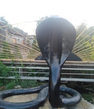 AADI SHIV Temple Constructed under MGNREGA convergence At Bhaleth - Sujanpur